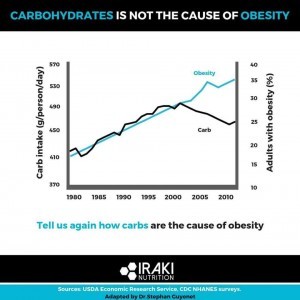 Are Carbs the Cause of Obesity?