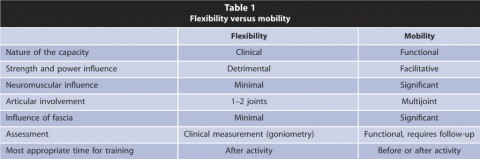 The Difference Between Mobility and Flexibility